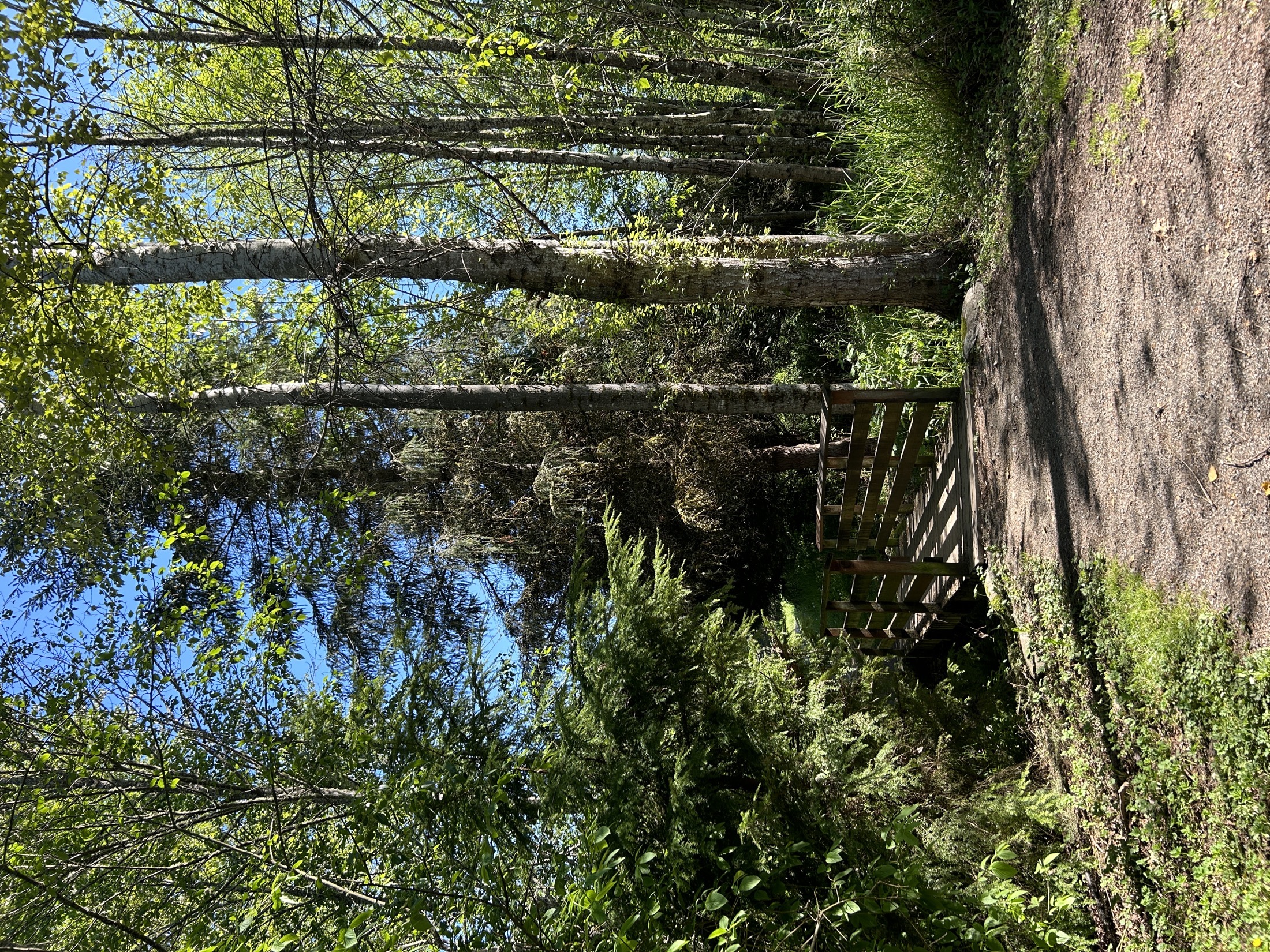 Clark Lake Park in Kent.